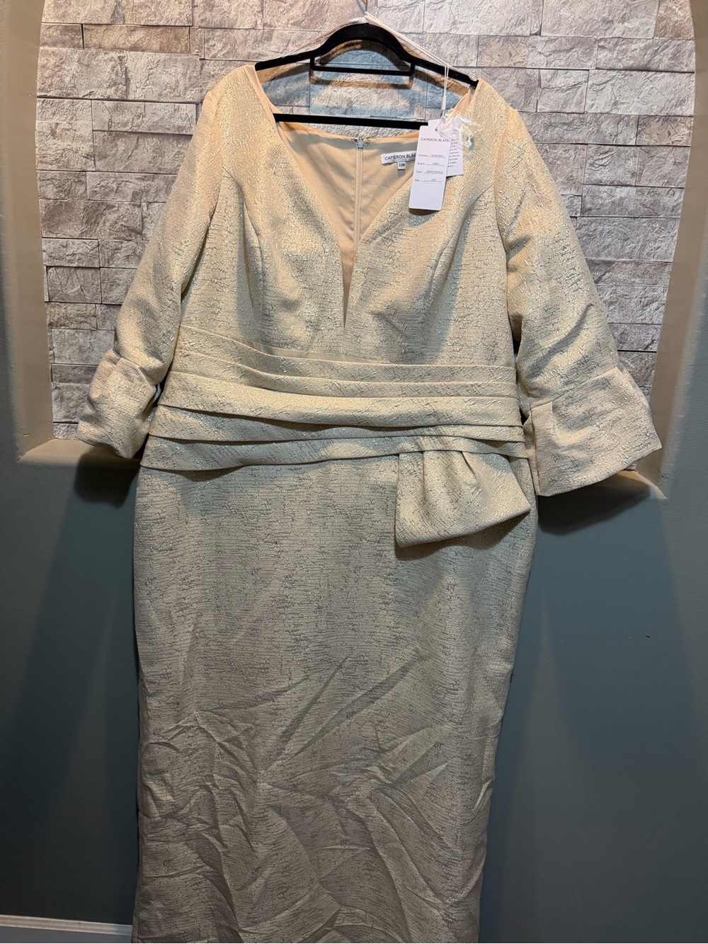 Cameron Blake Mother of the Bride/Groom Dress